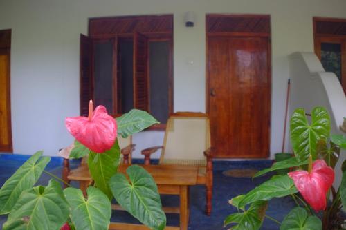 Hostal Sansala Guesthouse & Restaurant