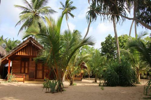 Hotel Shiva's Beach Cabanas