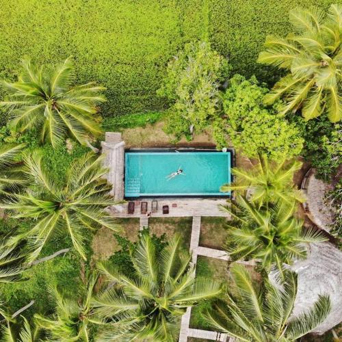 Hotel Rice Rice Villas