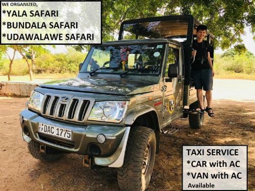 Sarath Home Stay And Safari