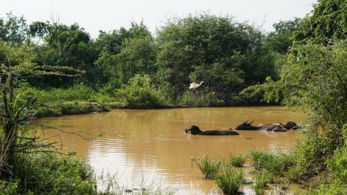 Hostal Bright Sun Safari Hotel