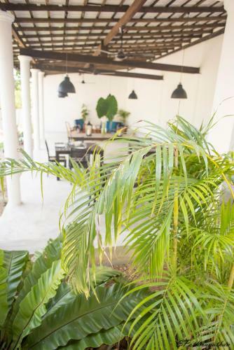 Hostal South House-weligama