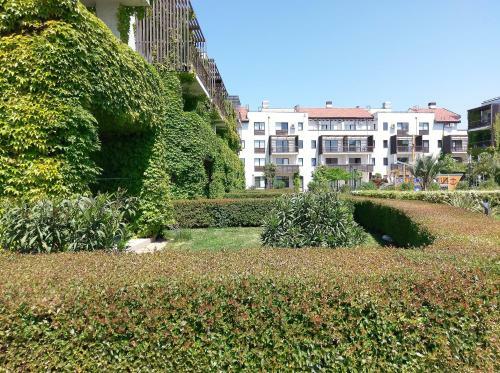 Happy Place Apartments Pezaro