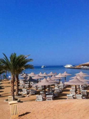 Apartamento Cosy Studio On The Beach