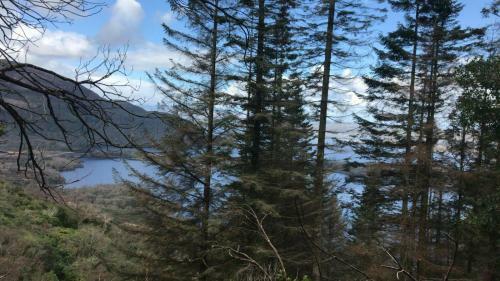 No 14 Killarneys Holiday Village