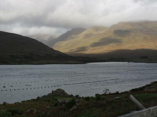 Spring Bank Cottage, Leenane