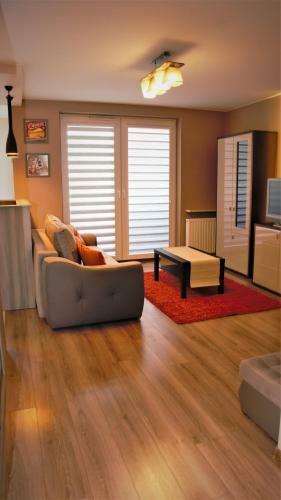 Big Apartament Seminaryjska