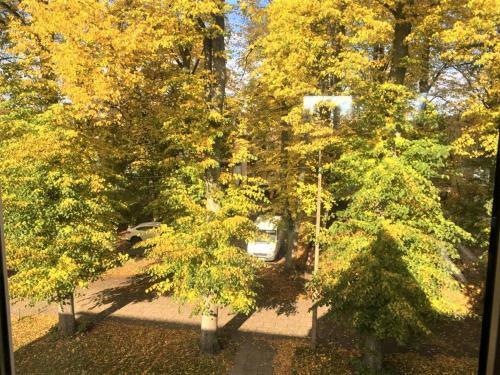 Apartamenty Zacisze