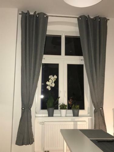 Apartamenty Unicorn
