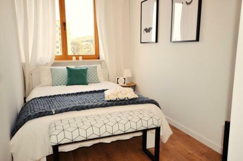 Victus Apartamenty, Apartament Lajkonik