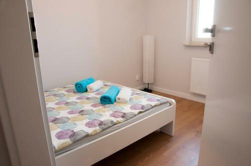 Apartament Uniwersytet