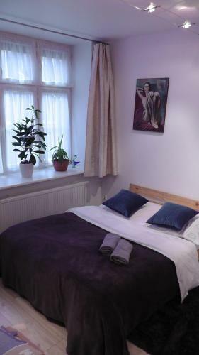 Apartament Piernikowy Na Starym Mie?cie