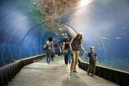 Apartamento Olawska 8 Tectumapartments