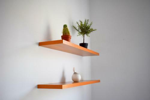 City Central Hostel ?widnicka