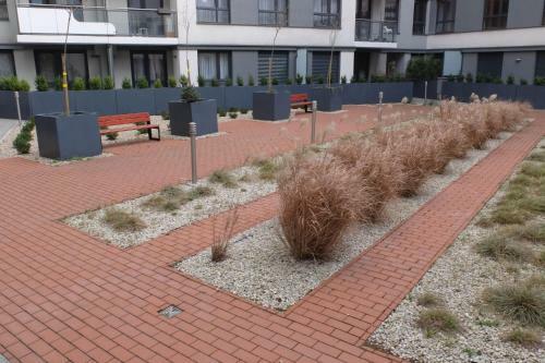 Mone - Fajny Apartament W Centrum Wroc?awia