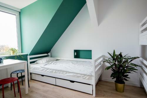 Togoto Wroc?aw Hostel