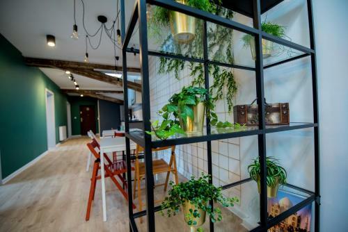 Togoto Wroc?aw Hostel