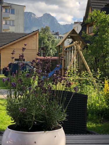 Dom Vika Home Zakopane