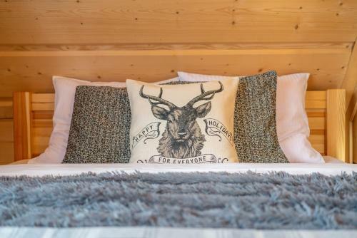 Apartamenty Willa Olsza