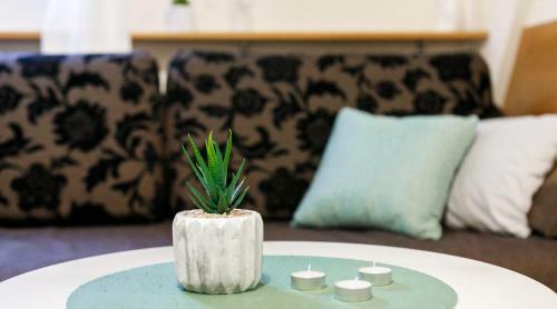 Apartamento Rent Like Home - Orkana