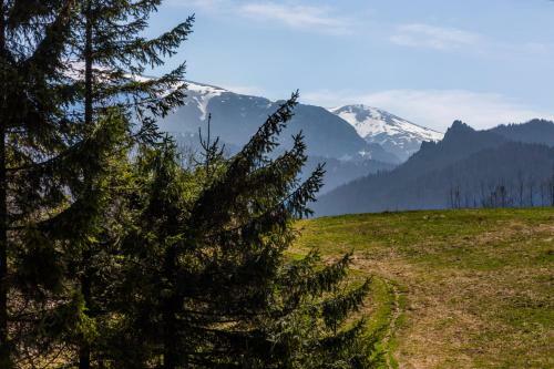 Apartament Lukka Zakopane