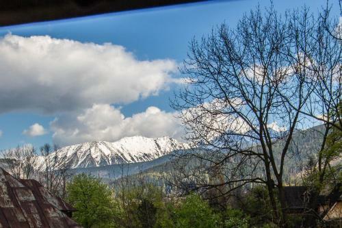 Apartament Owcze Runo Zakopane