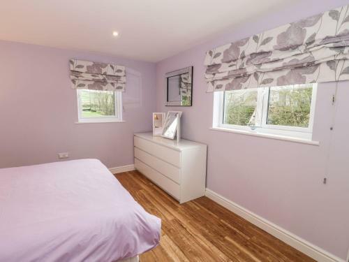 Nant Y Felin Lodge