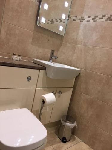 Apartamento Llys Yr Onnen