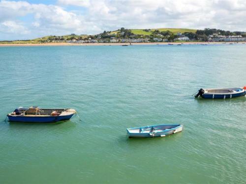 Delightful Holiday Home In Appledore With Garden
