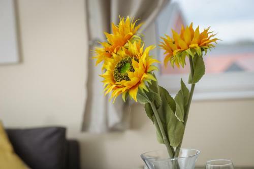 Apartamentos Wolverhampton City Stay II