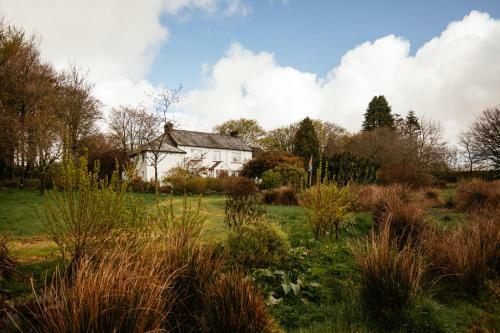 Hostal The Cherrybrook