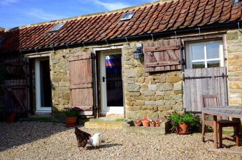 Bed & Breakfast Folly Hall Farm