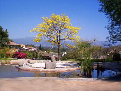 Hotel Spa Y Terraza Portal La Vista