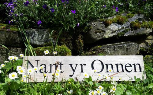 Bed & Breakfast Nant Yr Onnen