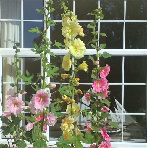 Sidmouth Bed & Breakfast