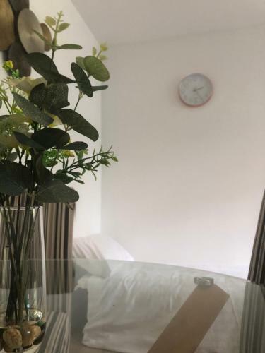 City Centre Vicarage Apartments