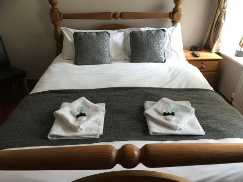 The Dillwyn Arms Hotel