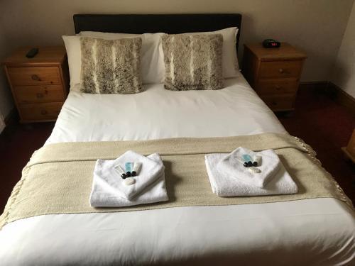 The Dillwyn Arms Hotel
