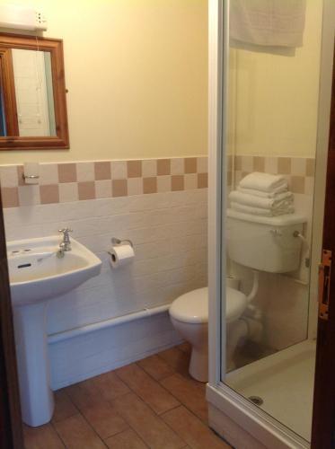 The Dillwyn Arms Hotel
