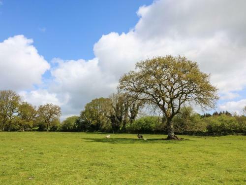 Chilvery Farm Cottage, Okehampton