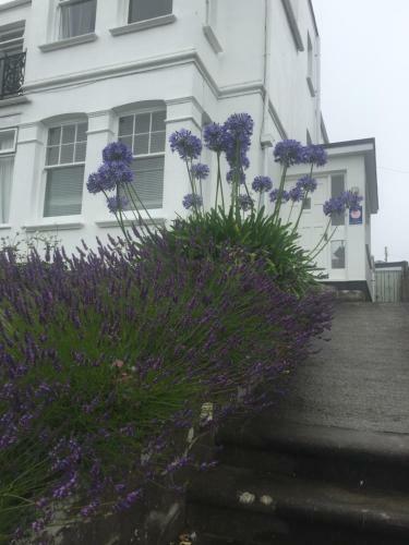Villa Padstow House