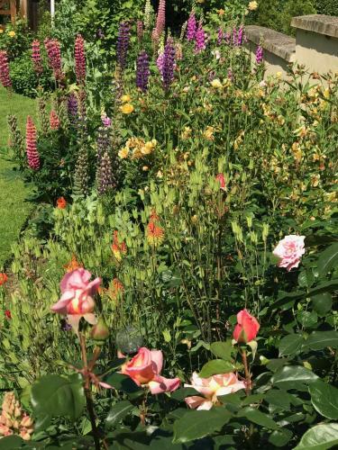 Bed & Breakfast Tresillian House