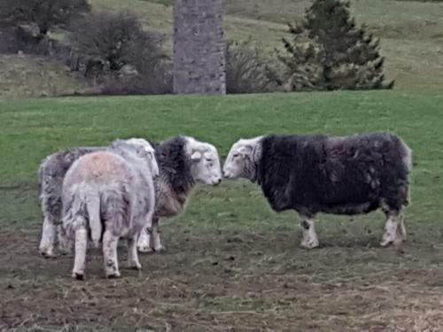 Posada Herdwicks Boutique Hotel