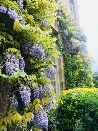 Hotel Dinham Hall & Elliotts Bistro
