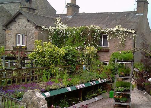 Hostal Seed Hill Guest House