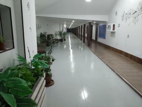 Posada Garden House Mini-hotel