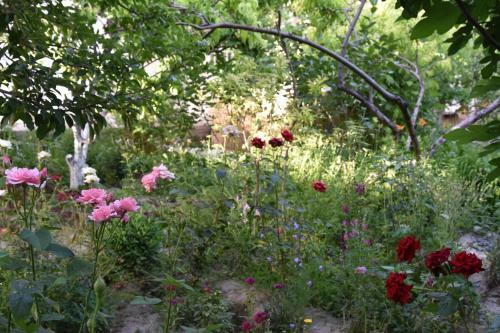 Hostal Antica B & B Samarkand