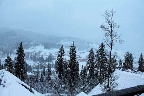 Lodge Szlachta Cottage