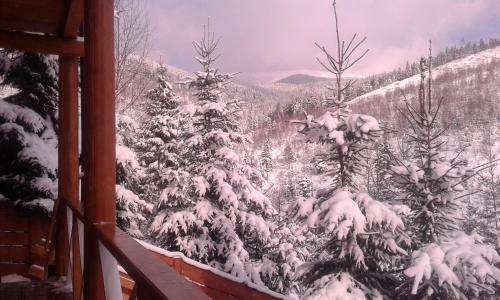 Hostal Konopka Guest House