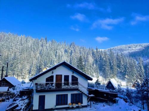 Hostal Viktan Hotel